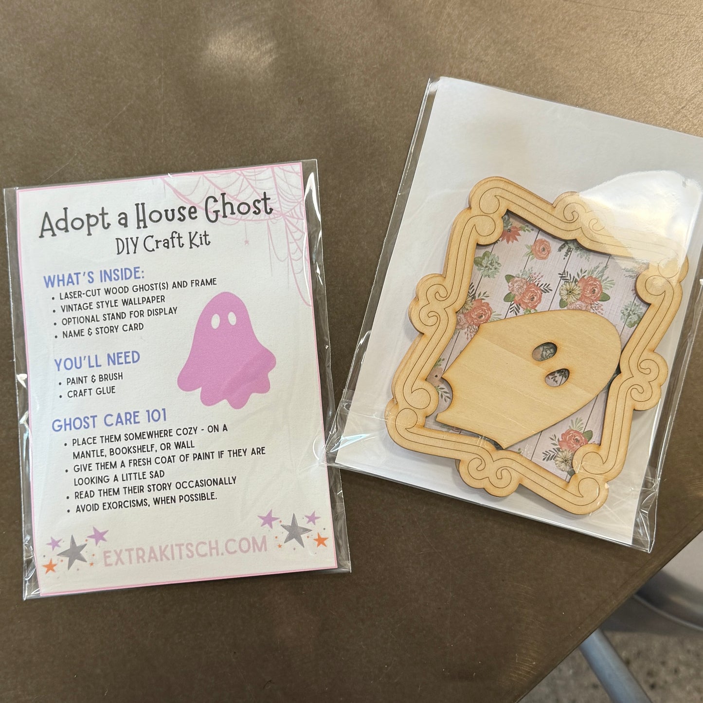Spooky Ghost Portrait DIY Craft Kit
