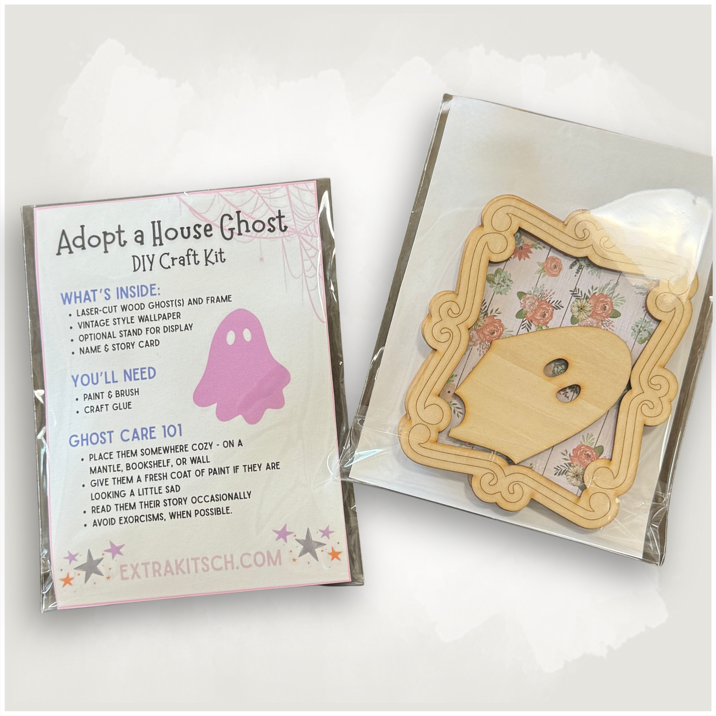 Spooky Ghost Portrait DIY Craft Kit