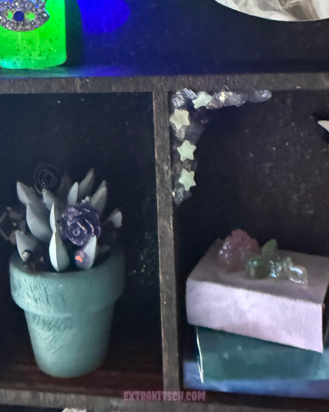 Moth Curio Shelf – Glow-in-the-Dark Miniature Shadow Box with Witchy Decor